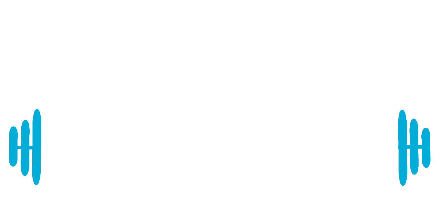 Viggo Studio Fit